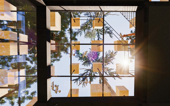 Причудливый шведский отель на дереве окружит постояльцев пернатыми друзьями 