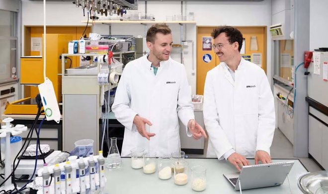 Швейцарские ученые разработали имитацию мяса креветок из смеси микроводорослей и гороха 