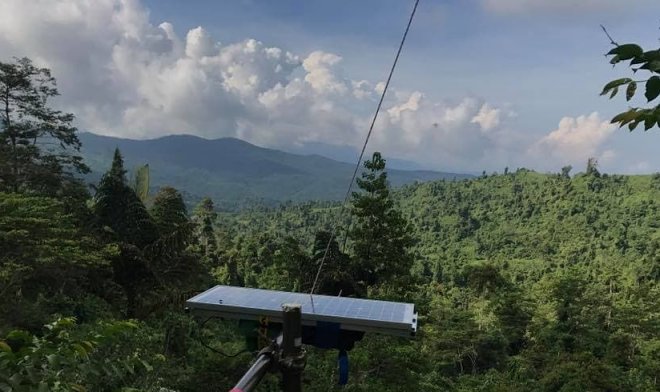 Твиттер-бот спасает джунгли Борнео странными твитами 