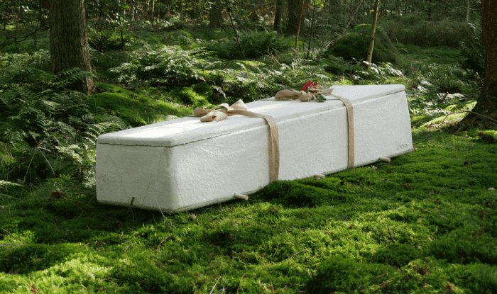 Саркофаги из грибов станут экологичной альтернативой деревянным гробам 