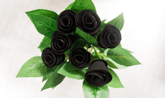 Эта странная черная роза, на самом деле — сверхэффективный водяной фильтр 
