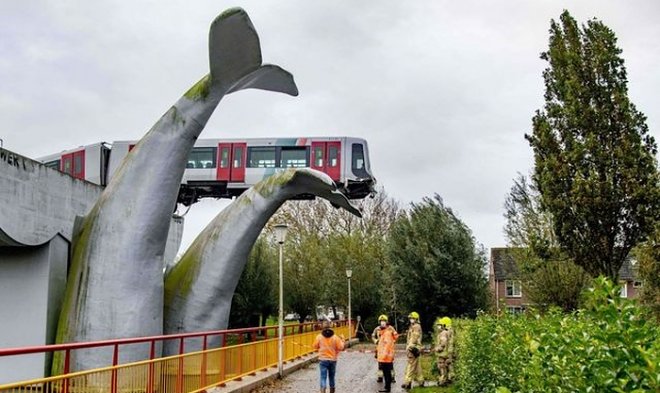 Как в Нидерландах кит спас целый поезд 