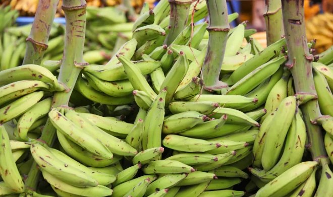 Композиты с волокнами банана позволят создавать легкие и прочные автомобили 
