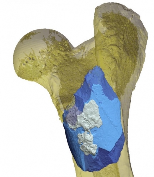 Найден уникальный топорик из кости бегемота возрастом 1,4 млн. лет 