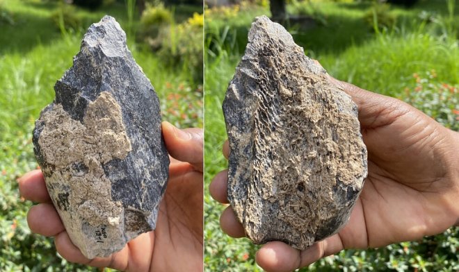 Найден уникальный топорик из кости бегемота возрастом 1,4 млн. лет 