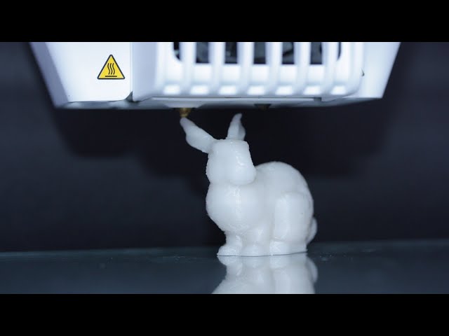 Швейцарские ученые успешно «клонировали» пластиковых кроликов с помощью синтетической ДНК 
